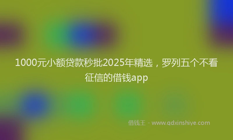1000元小额贷款秒批2025年精选，罗列五个不看征信的借钱app