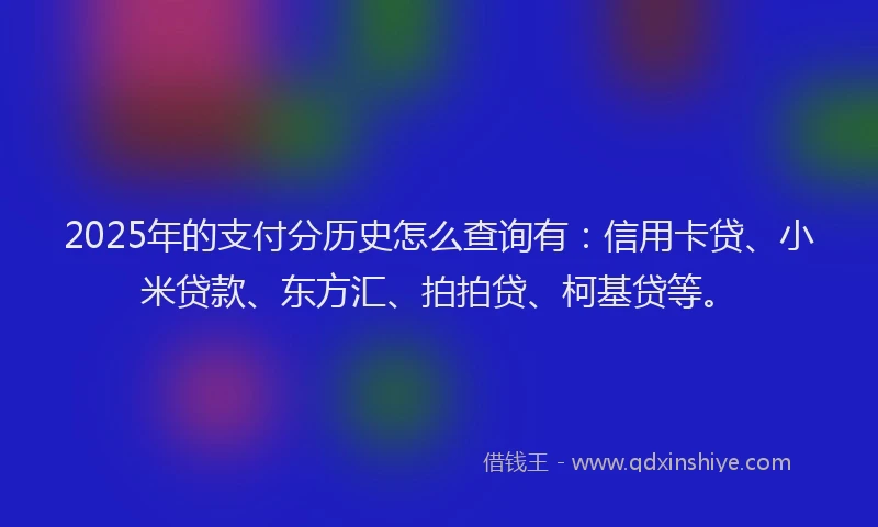 2025年的支付分历史怎么查询有：信用卡贷、小米贷款、东方汇、拍拍贷、柯基贷等。