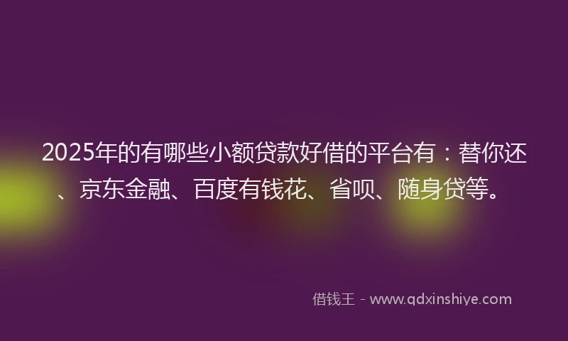 2025年的有哪些小额贷款好借的平台有：替你还、京东金融、百度有钱花、省呗、随身贷等。