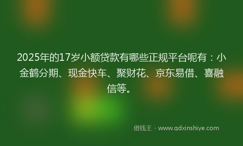 2025年的17岁小额贷款有哪些正规平台呢有：小金鹤分期、现金快车、聚财花、京东易借、喜融信等。