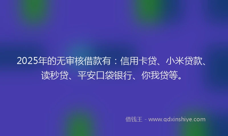 2025年的无审核借款有：信用卡贷、小米贷款、读秒贷、平安口袋银行、你我贷等。