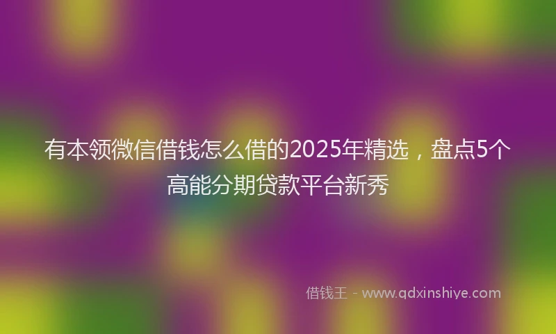 有本领微信借钱怎么借的2025年精选，盘点5个高能分期贷款平台新秀