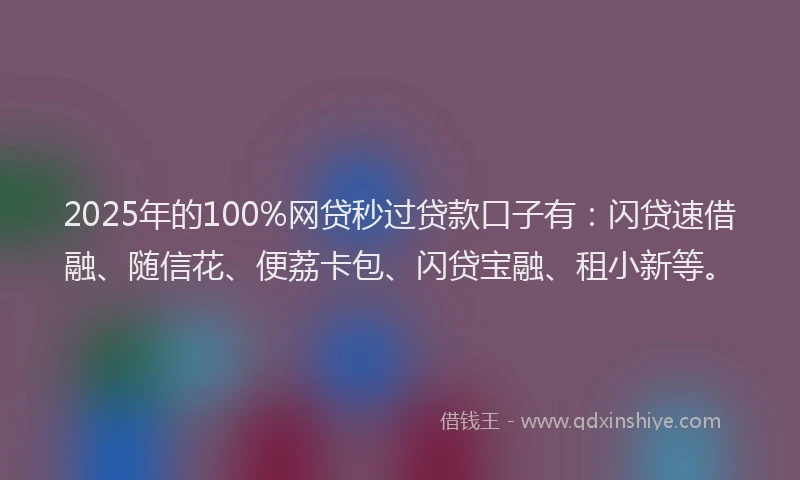 2025年的100%网贷秒过贷款口子有：闪贷速借融、随信花、便荔卡包、闪贷宝融、租小新等。