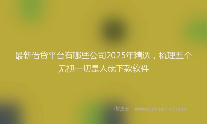 最新借贷平台有哪些公司2025年精选，梳理五个无视一切是人就下款软件