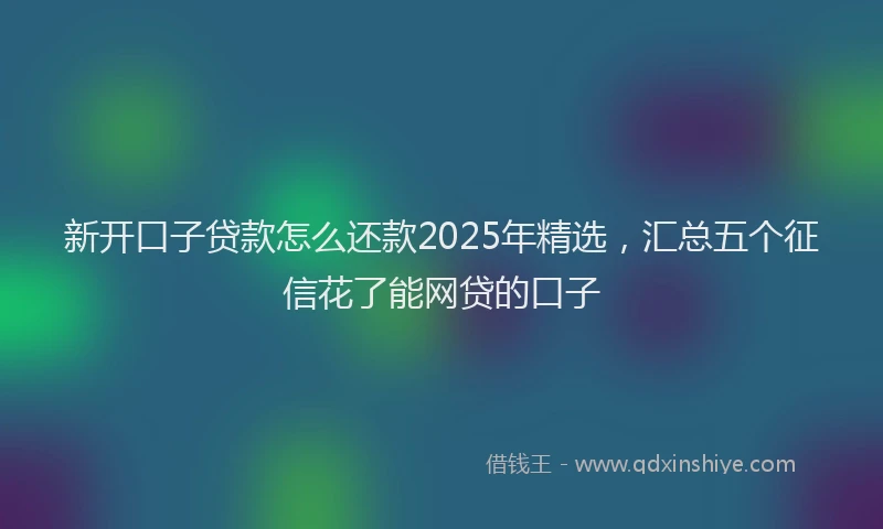 新开口子贷款怎么还款2025年精选，汇总五个征信花了能网贷的口子