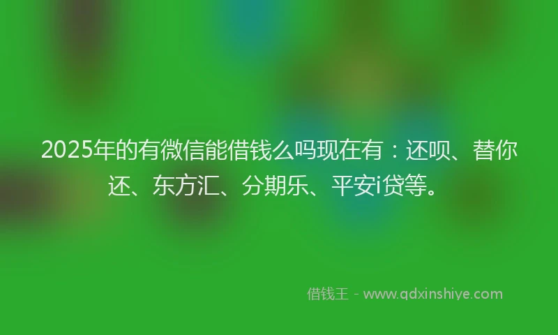 2025年的有微信能借钱么吗现在有：还呗、替你还、东方汇、分期乐、平安i贷等。