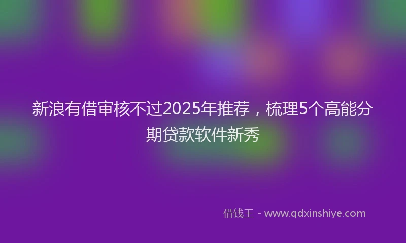 新浪有借审核不过2025年推荐，梳理5个高能分期贷款软件新秀