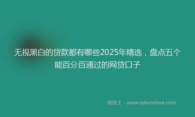 无视黑白的贷款都有哪些2025年精选，盘点五个能百分百通过的网贷口子