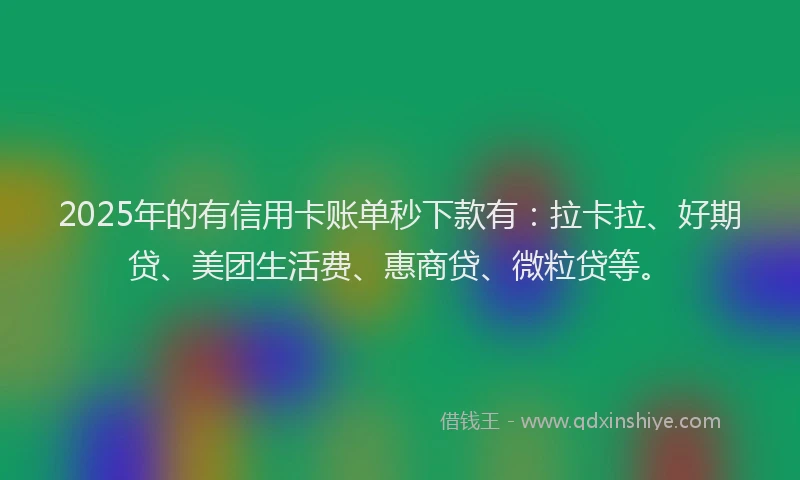 2025年的有信用卡账单秒下款有：拉卡拉、好期贷、美团生活费、惠商贷、微粒贷等。