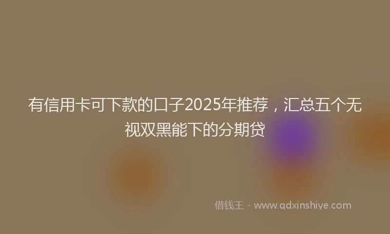 有信用卡可下款的口子2025年推荐，汇总五个无视双黑能下的分期贷