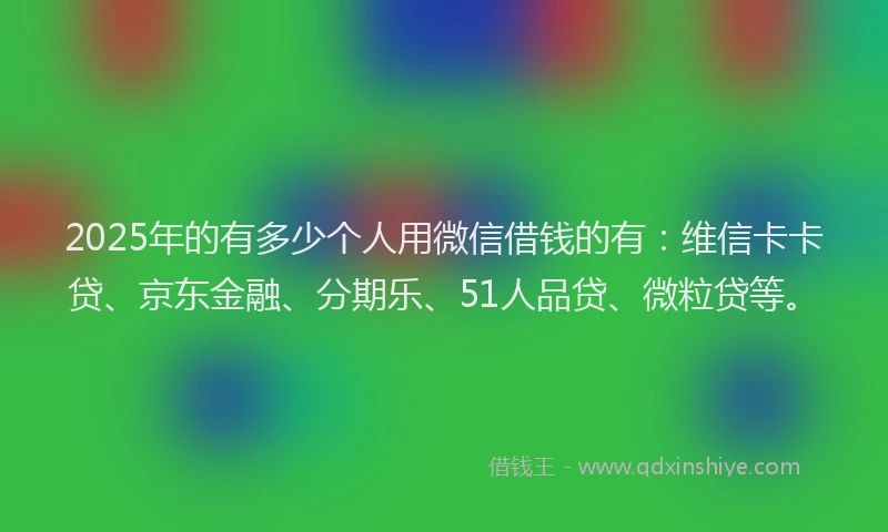 2025年的有多少个人用微信借钱的有：维信卡卡贷、京东金融、分期乐、51人品贷、微粒贷等。