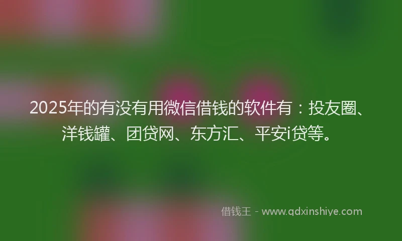 2025年的有没有用微信借钱的软件有：投友圈、洋钱罐、团贷网、东方汇、平安i贷等。