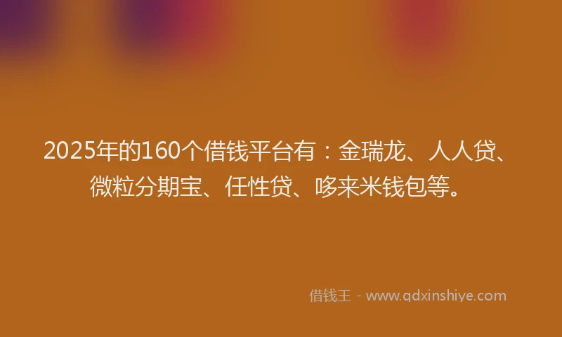 2025年的160个借钱平台有：金瑞龙、人人贷、微粒分期宝、任性贷、哆来米钱包等。