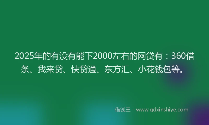 2025年的有没有能下2000左右的网贷有：360借条、我来贷、快贷通、东方汇、小花钱包等。