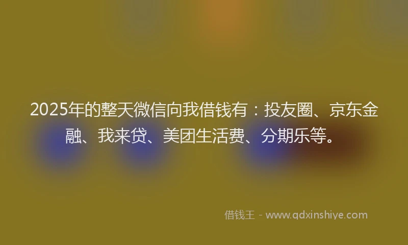 2025年的整天微信向我借钱有：投友圈、京东金融、我来贷、美团生活费、分期乐等。