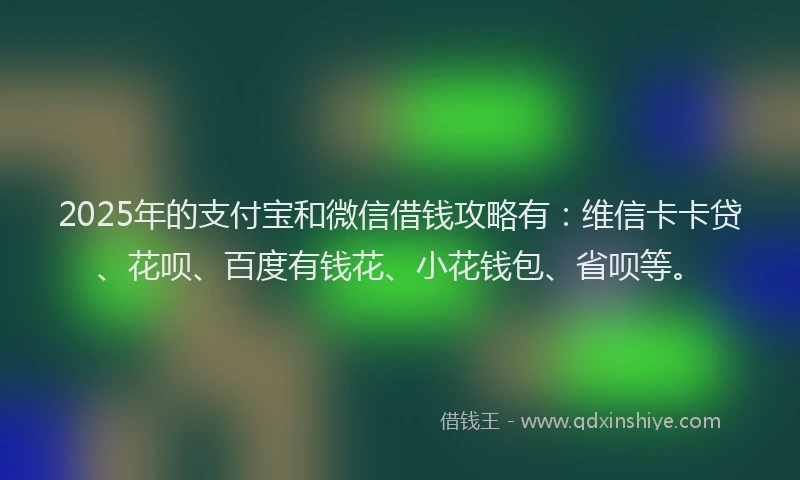 2025年的支付宝和微信借钱攻略有：维信卡卡贷、花呗、百度有钱花、小花钱包、省呗等。