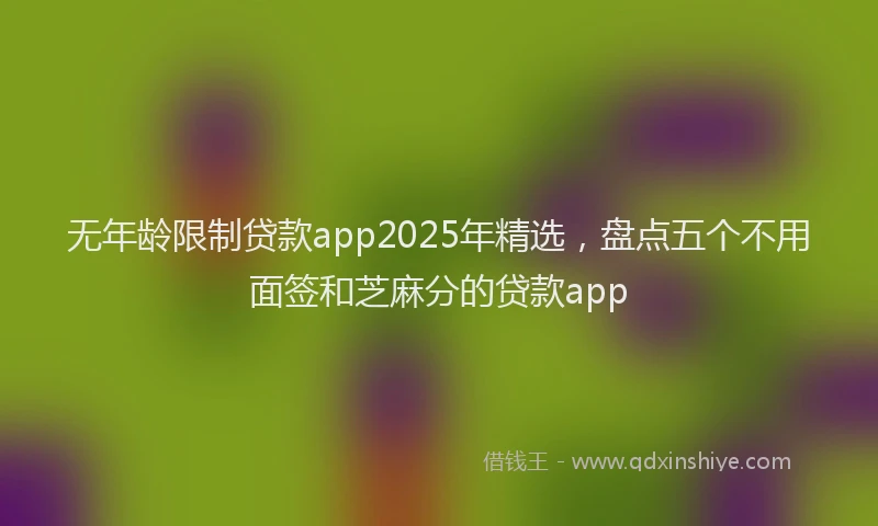 无年龄限制贷款app2025年精选，盘点五个不用面签和芝麻分的贷款app