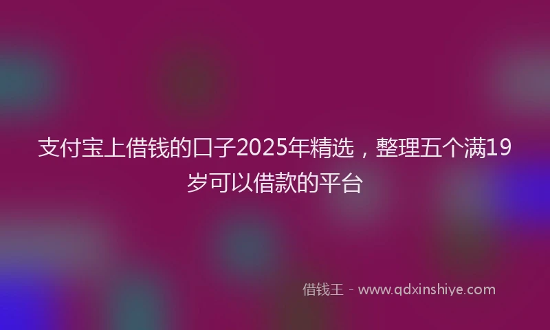 支付宝上借钱的口子2025年精选，整理五个满19岁可以借款的平台