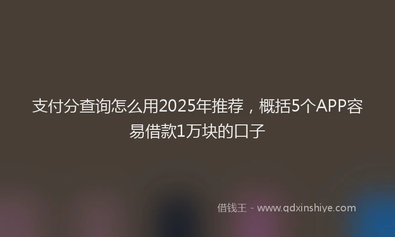 支付分查询怎么用2025年推荐，概括5个APP容易借款1万块的口子
