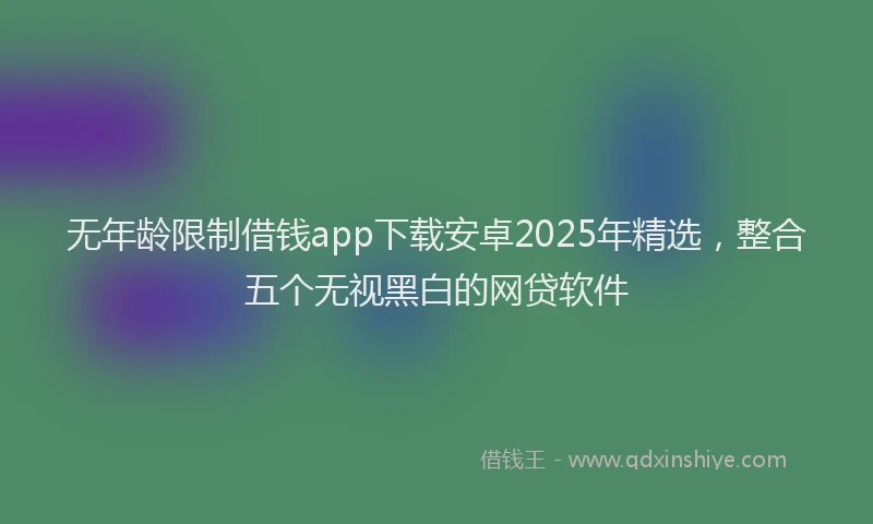 无年龄限制借钱app下载安卓2025年精选，整合五个无视黑白的网贷软件
