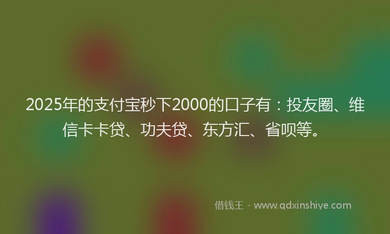 2025年的支付宝秒下2000的口子有：投友圈、维信卡卡贷、功夫贷、东方汇、省呗等。