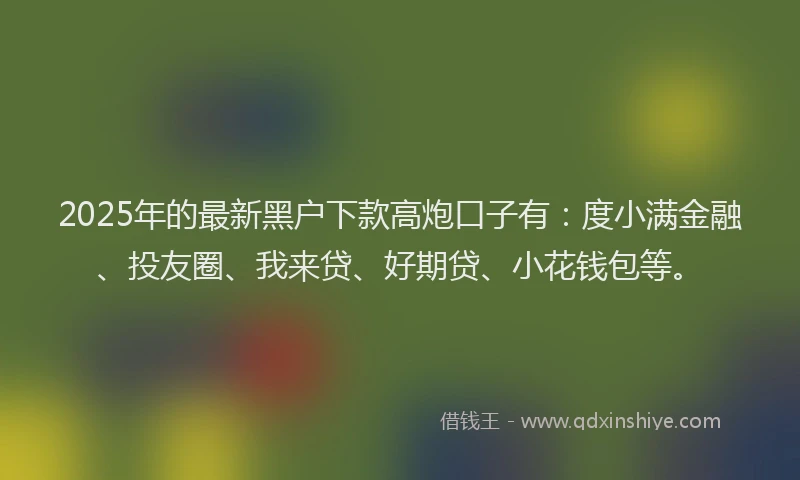 2025年的最新黑户下款高炮口子有：度小满金融、投友圈、我来贷、好期贷、小花钱包等。