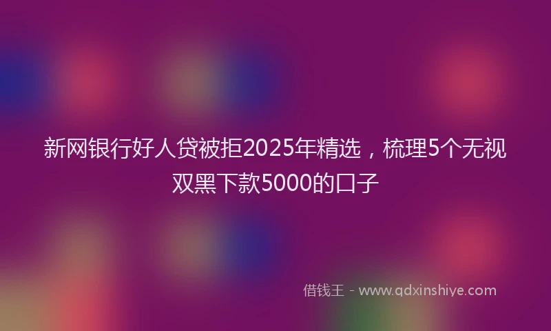 新网银行好人贷被拒2025年精选，梳理5个无视双黑下款5000的口子