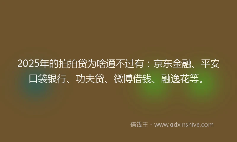 2025年的拍拍贷为啥通不过有：京东金融、平安口袋银行、功夫贷、微博借钱、融逸花等。