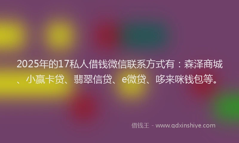 2025年的17私人借钱微信联系方式有：森泽商城、小赢卡贷、翡翠信贷、e微贷、哆来咪钱包等。