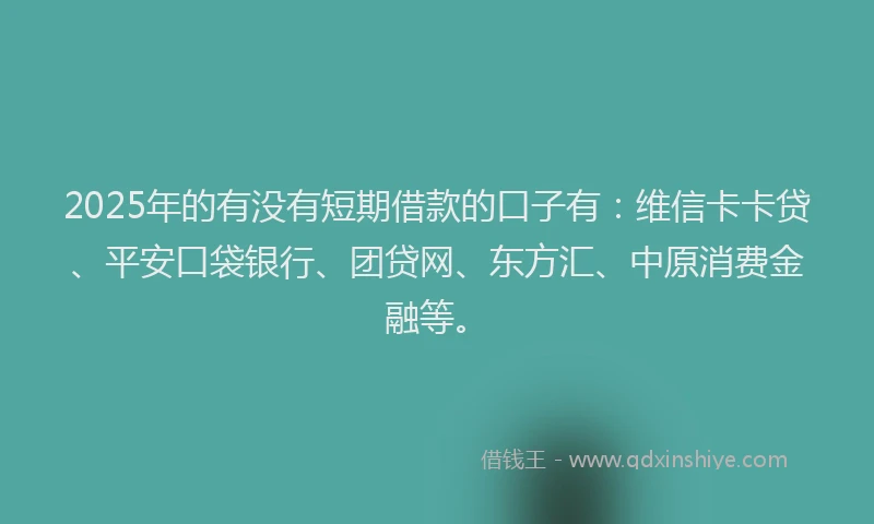 2025年的有没有短期借款的口子有：维信卡卡贷、平安口袋银行、团贷网、东方汇、中原消费金融等。