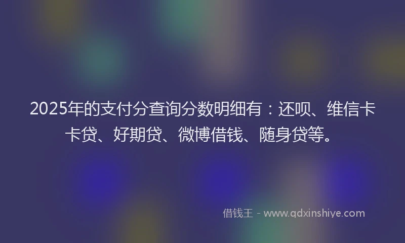 2025年的支付分查询分数明细有：还呗、维信卡卡贷、好期贷、微博借钱、随身贷等。