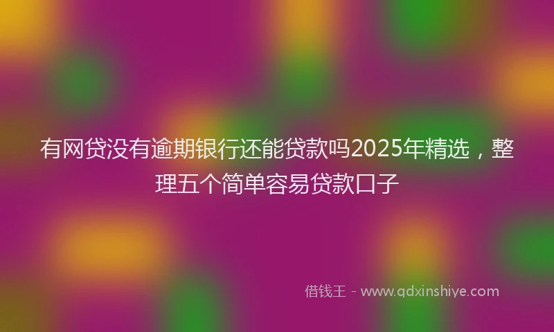 有网贷没有逾期银行还能贷款吗2025年精选，整理五个简单容易贷款口子
