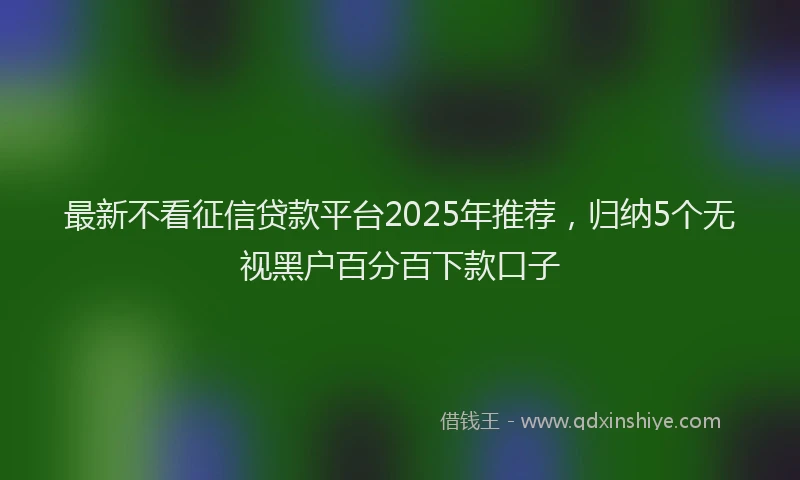 最新不看征信贷款平台2025年推荐，归纳5个无视黑户百分百下款口子
