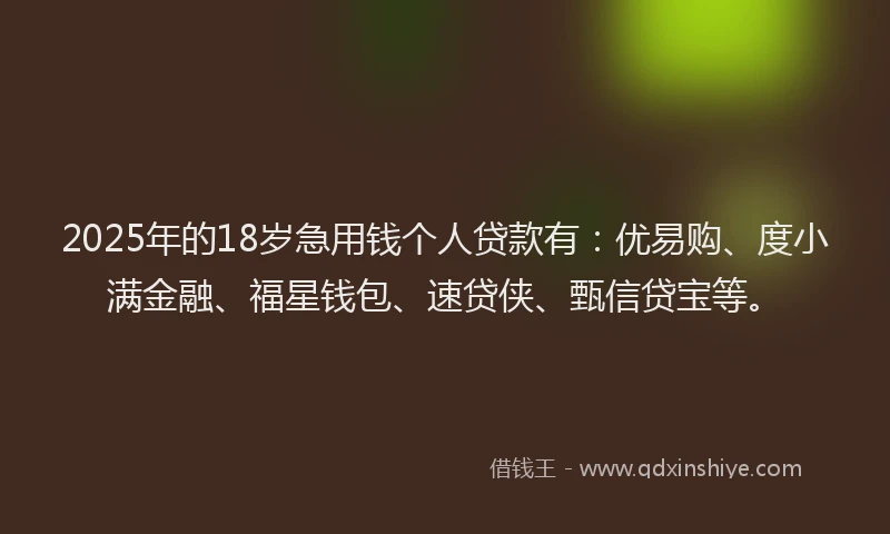 2025年的18岁急用钱个人贷款有:优易购、度小满金融、福星钱包、速贷侠、甄信贷宝等。