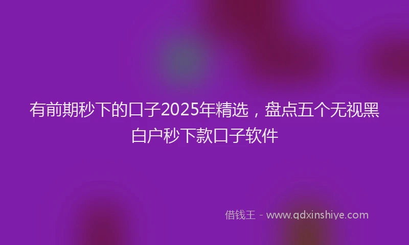 有前期秒下的口子2025年精选，盘点五个无视黑白户秒下款口子软件