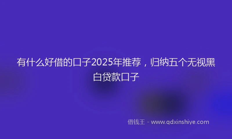 有什么好借的口子2025年推荐，归纳五个无视黑白贷款口子