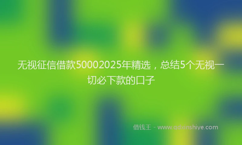 无视征信借款50002025年精选，总结5个无视一切必下款的口子