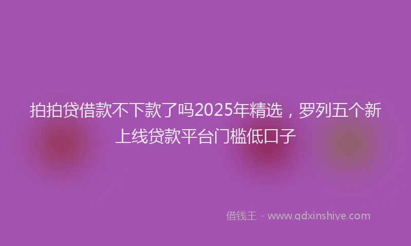 拍拍贷借款不下款了吗2025年精选，罗列五个新上线贷款平台门槛低口子