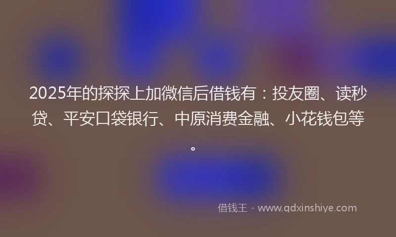 2025年的探探上加微信后借钱有：投友圈、读秒贷、平安口袋银行、中原消费金融、小花钱包等。