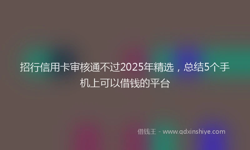 招行信用卡审核通不过2025年精选，总结5个手机上可以借钱的平台