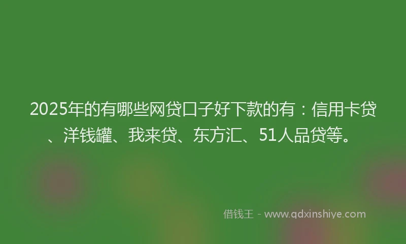 2025年的有哪些网贷口子好下款的有：信用卡贷、洋钱罐、我来贷、东方汇、51人品贷等。