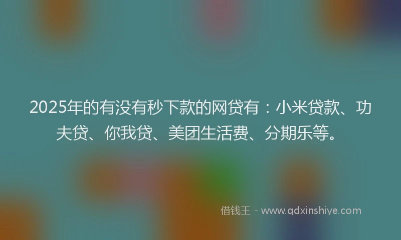 2025年的有没有秒下款的网贷有：小米贷款、功夫贷、你我贷、美团生活费、分期乐等。