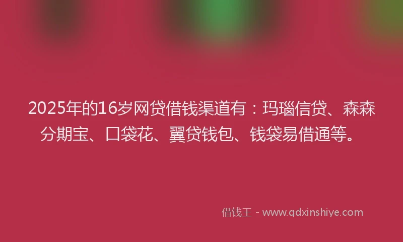 2025年的16岁网贷借钱渠道有：玛瑙信贷、森森分期宝、口袋花、翼贷钱包、钱袋易借通等。