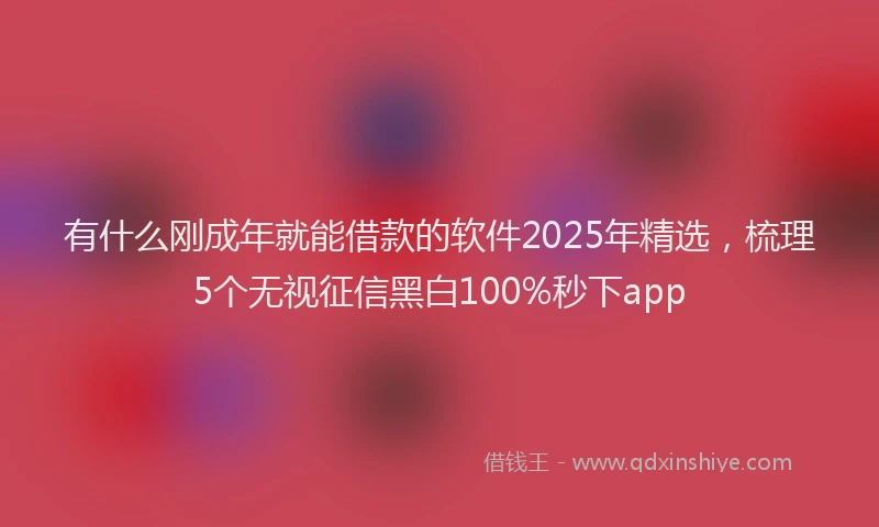 有什么刚成年就能借款的软件2025年精选，梳理5个无视征信黑白100%秒下app