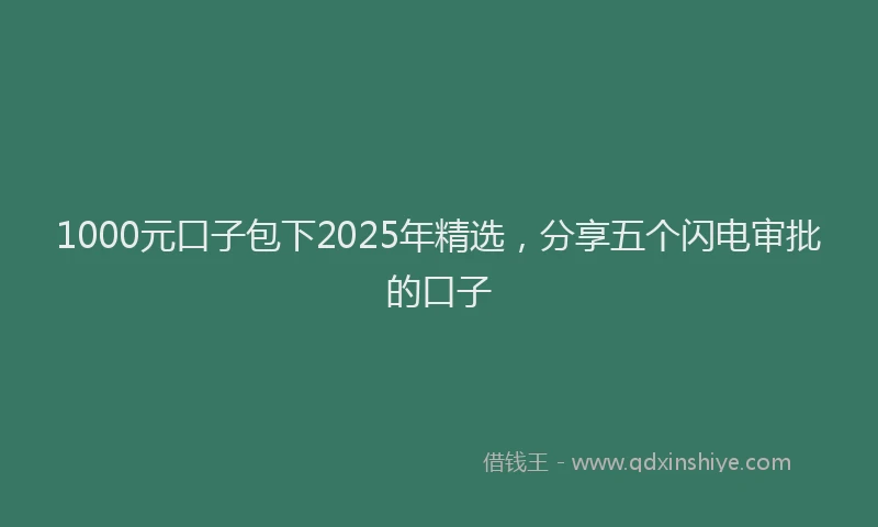 1000元口子包下2025年精选，分享五个闪电审批的口子