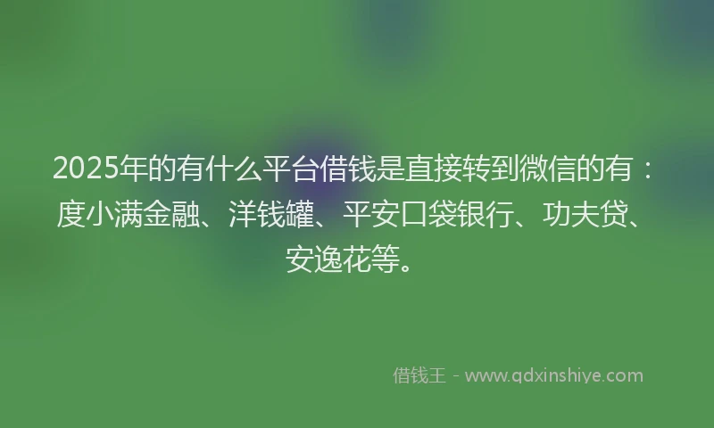 2025年的有什么平台借钱是直接转到微信的有：度小满金融、洋钱罐、平安口袋银行、功夫贷、安逸花等。