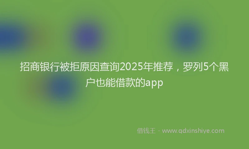 招商银行被拒原因查询2025年推荐，罗列5个黑户也能借款的app
