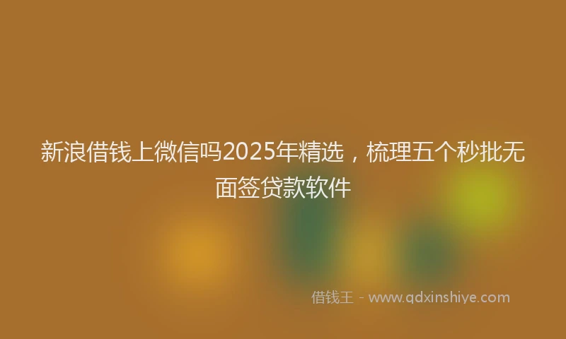 新浪借钱上微信吗2025年精选，梳理五个秒批无面签贷款软件