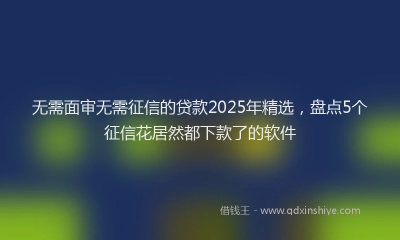 无需面审无需征信的贷款2025年精选，盘点5个征信花居然都下款了的软件