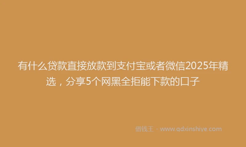 有什么贷款直接放款到支付宝或者微信2025年精选，分享5个网黑全拒能下款的口子